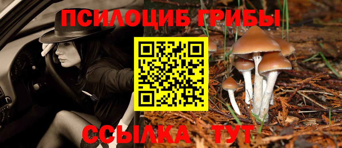 Псилоцибиновые грибы Psilocybe  Псилоцибиновые грибы Magic Shrooms  Сергиев Посад  Вход с VPN 